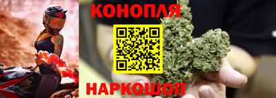 дмт Малгобек