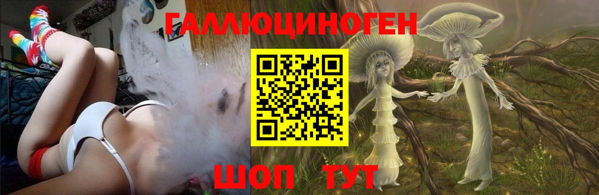 Всеволожск  Псилоцибиновые грибы мицелий  Вход с VPN  Псилоцибиновые грибы мухоморы 