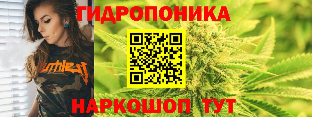 Канабис Amnesia  Вход с VPN  Канабис MAZAR  Всеволожск 